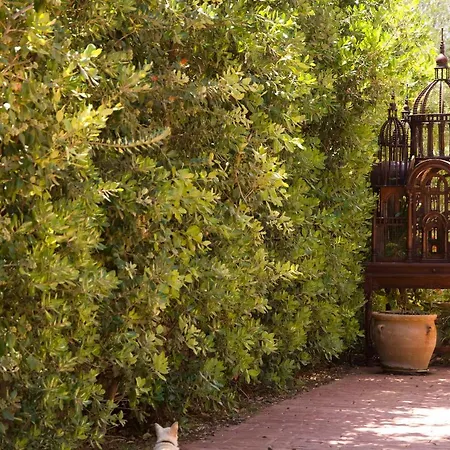 Alegre Playa Grupo Terra De Mar, Con Encanto *