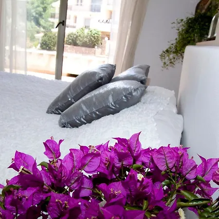 Alegre Playa Grupo Terra De Mar, Con Encanto * Calp