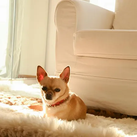 Alegre Playa Grupo Terra De Mar, Con Encanto Villa Calp