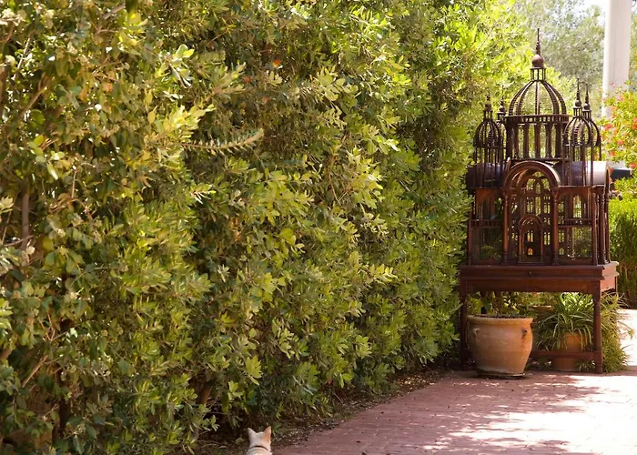 Alegre Playa Grupo Terra De Mar, Con Encanto *